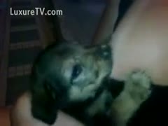 A dirty strumpet's tit being used by a puppy to get milk